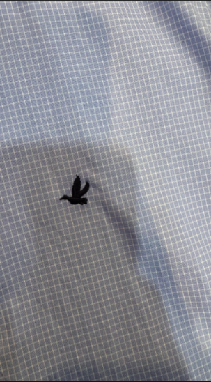 Camisa Xadrez Social — foto 8